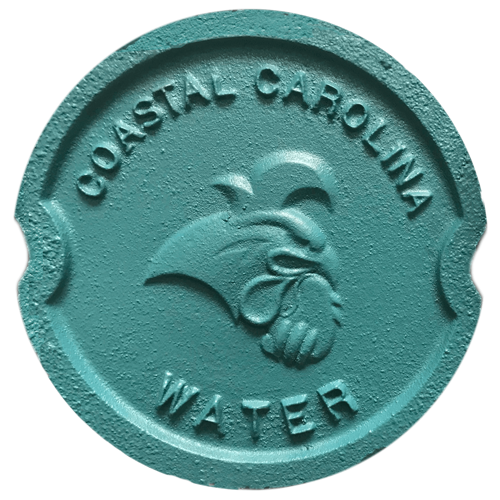 Coastal Carolina Water Valve Box Lid