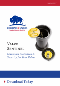 Valve Sentinel